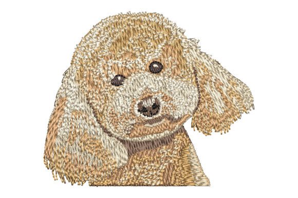 Apricot Poodle Embroidery Review