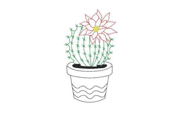 Cactus in a Flower Pot: A Designer’s Review