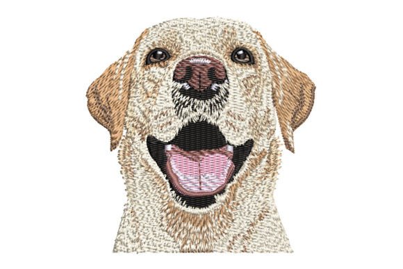 Labrador Retriever Smiling Yellow Lab Review