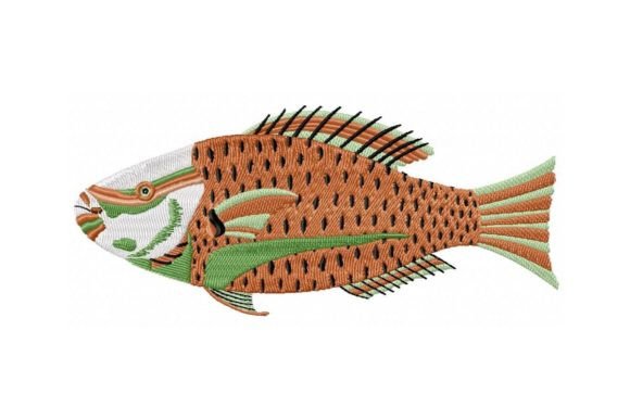 Reviewing the Cakatoua Soufounam Plate Design